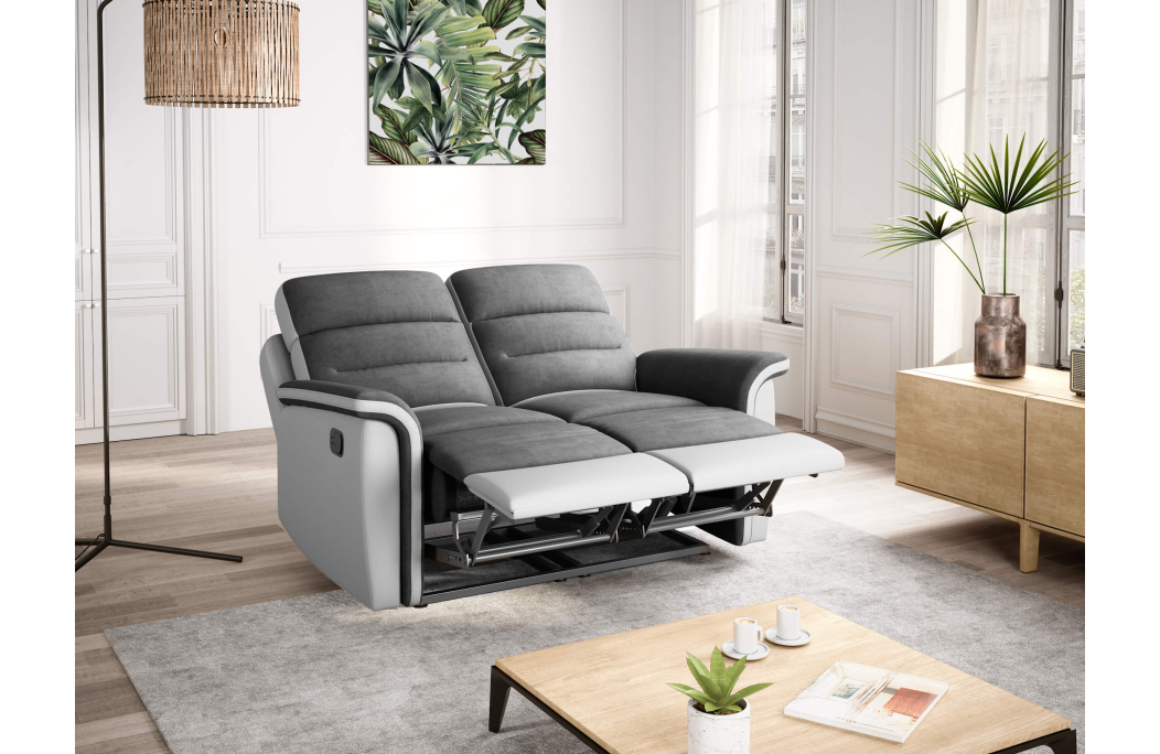 Canapé de Relaxation 2 places Microfibre / Simili LÉON