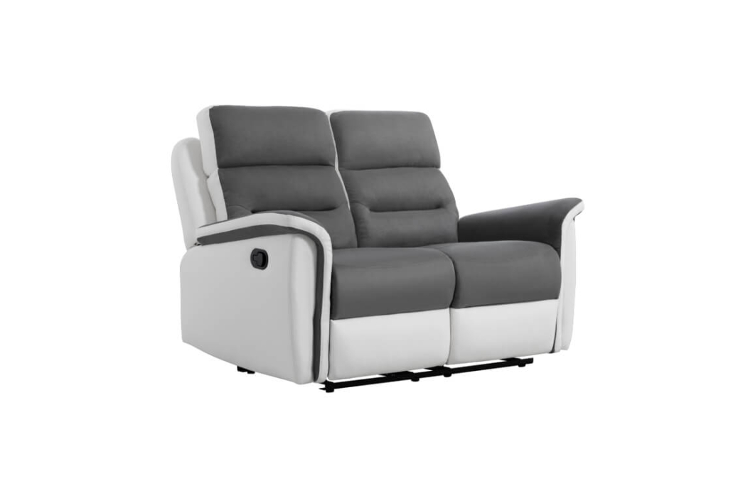 Canapé de Relaxation 2 places Microfibre / Simili LÉON